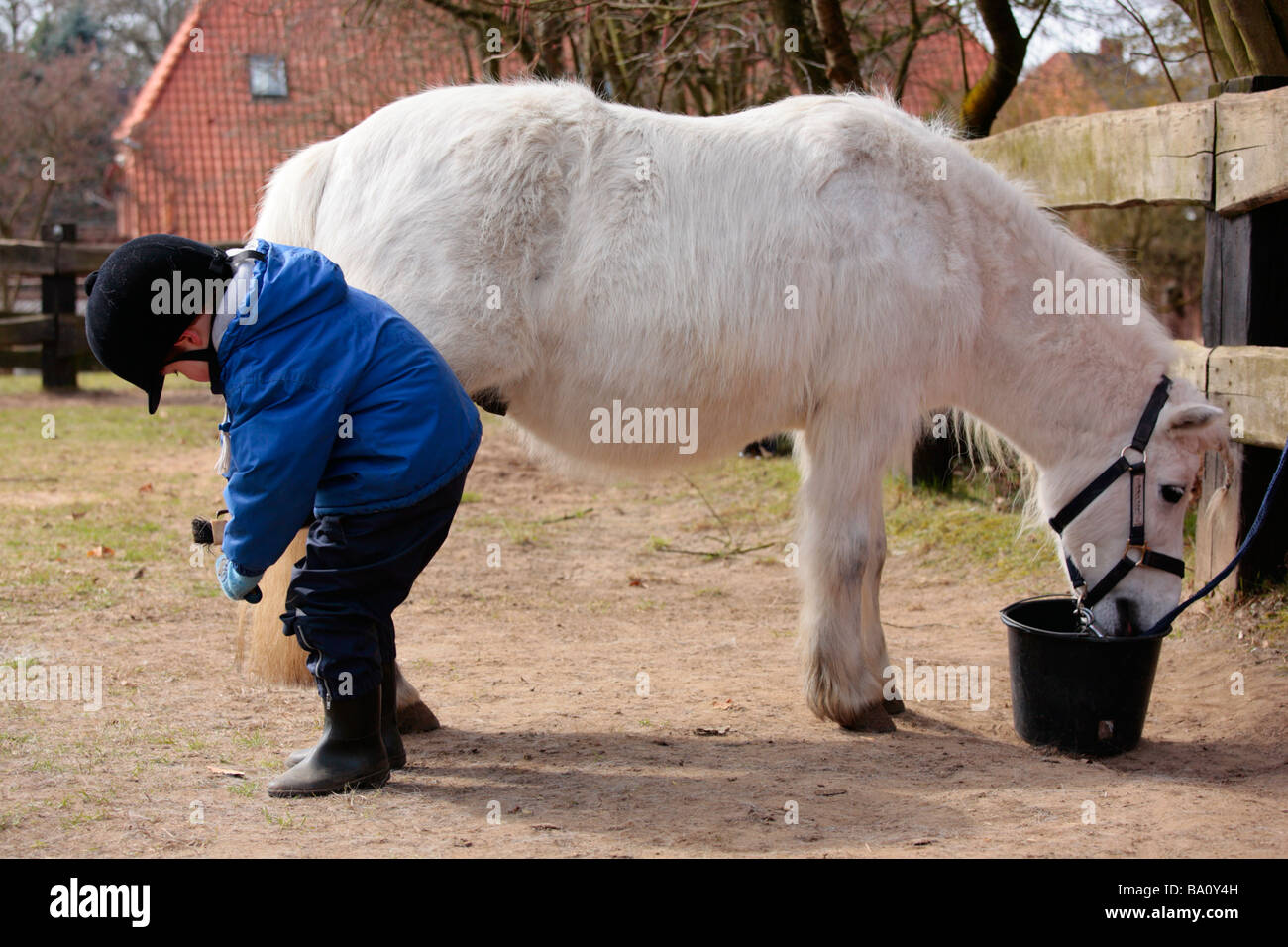 a young boy cleaning his pony´s hooves Stock Photo - Alamy