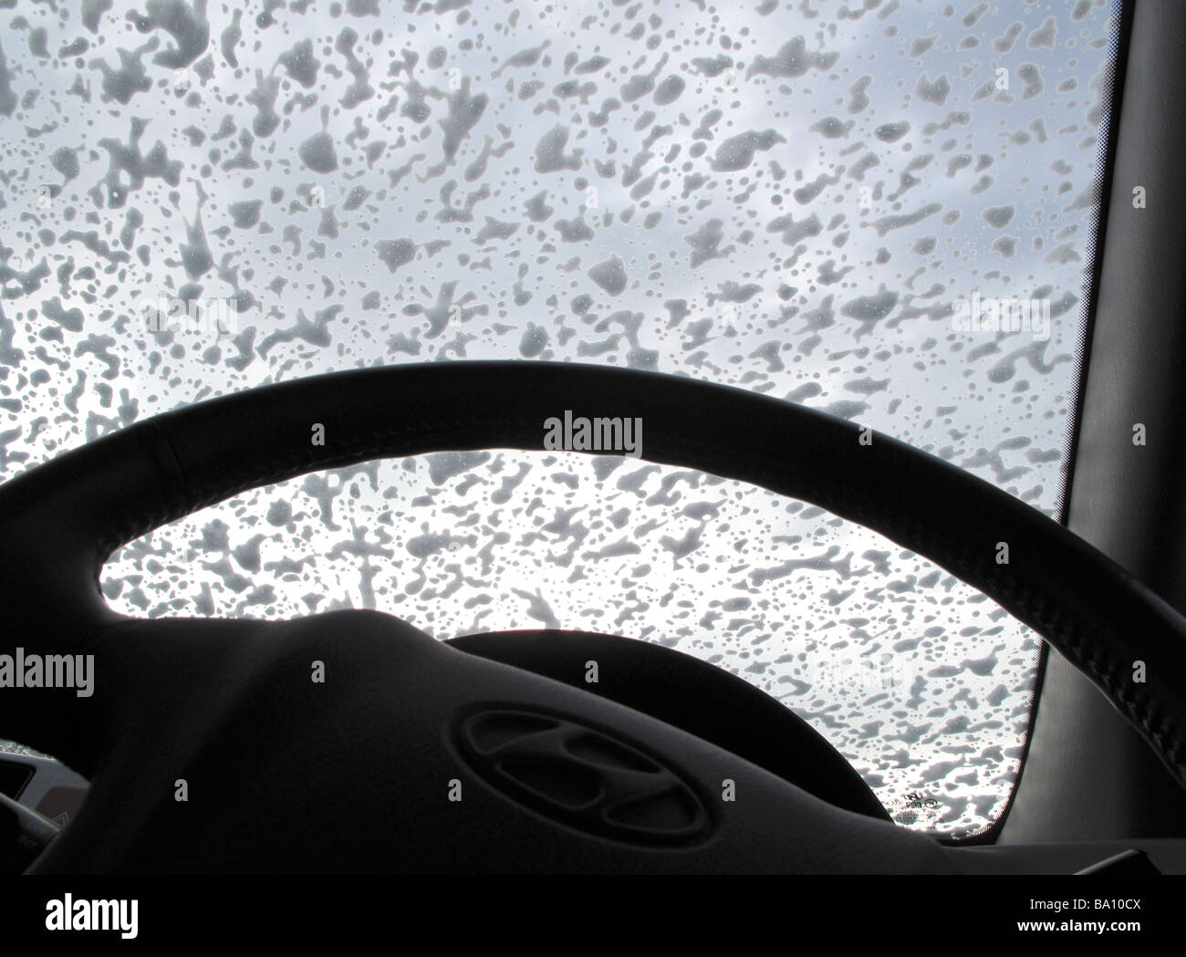 Soap suds on window of car being washed Stock Photo Alamy