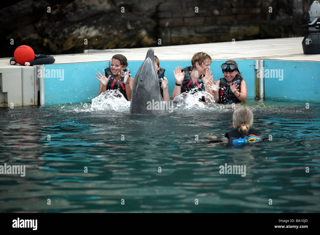 A family enjoying an encounter with a captive dolphin at Dolphin Quest, Bermuda Maritime Museum. Stock Photo