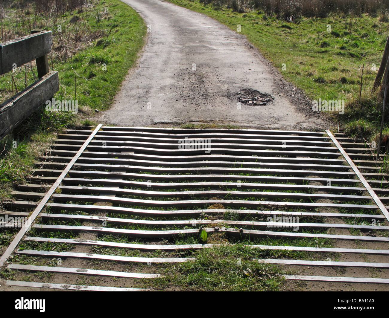 Steel Cattle Grid In Sheep Enclosure In Heathland Stock