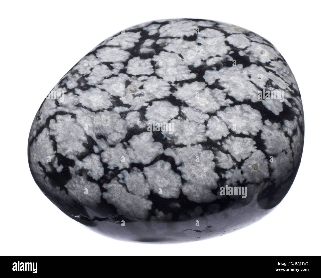 Snowflake Obsidian tumblestone - silica rich volcanic rock composed of a high percentage of glass Stock Photo