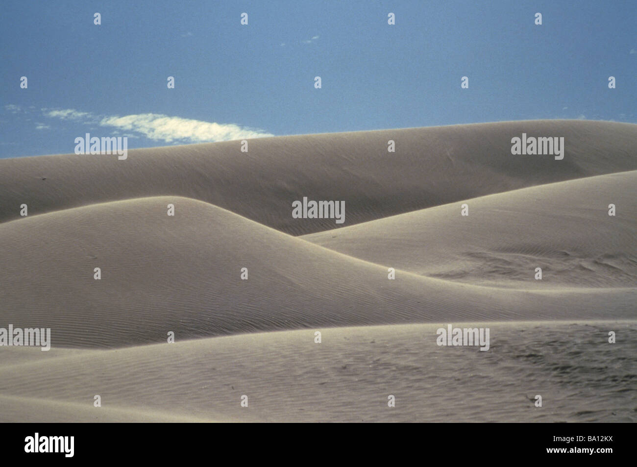 Sand dune California near Yuma Arizona nature desert hill dirt earth