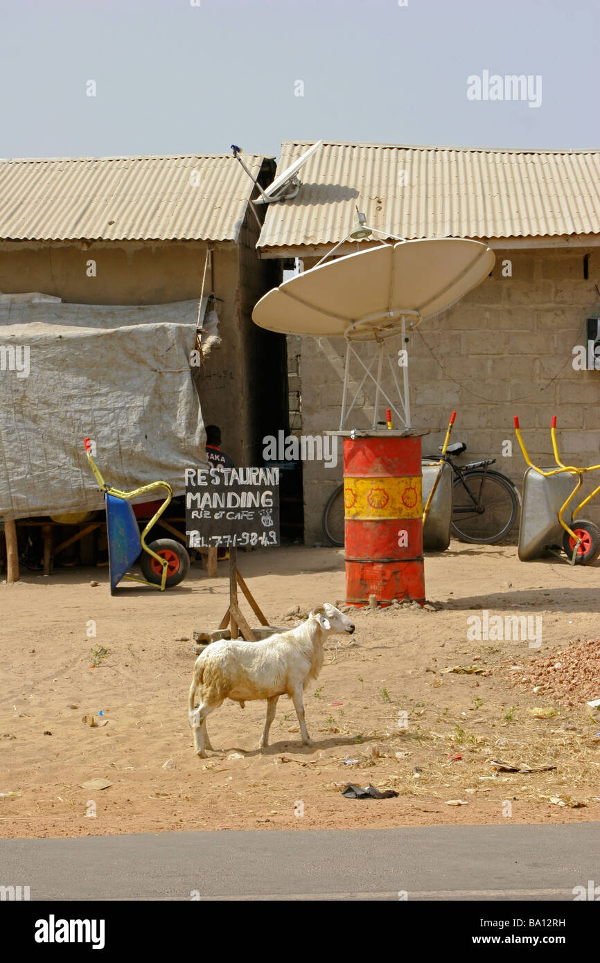 A Goat And A Satellite TV Plate On A Barrel In Front Of Hutments At Tanji District Tanji Gambia Africa Stock Photo