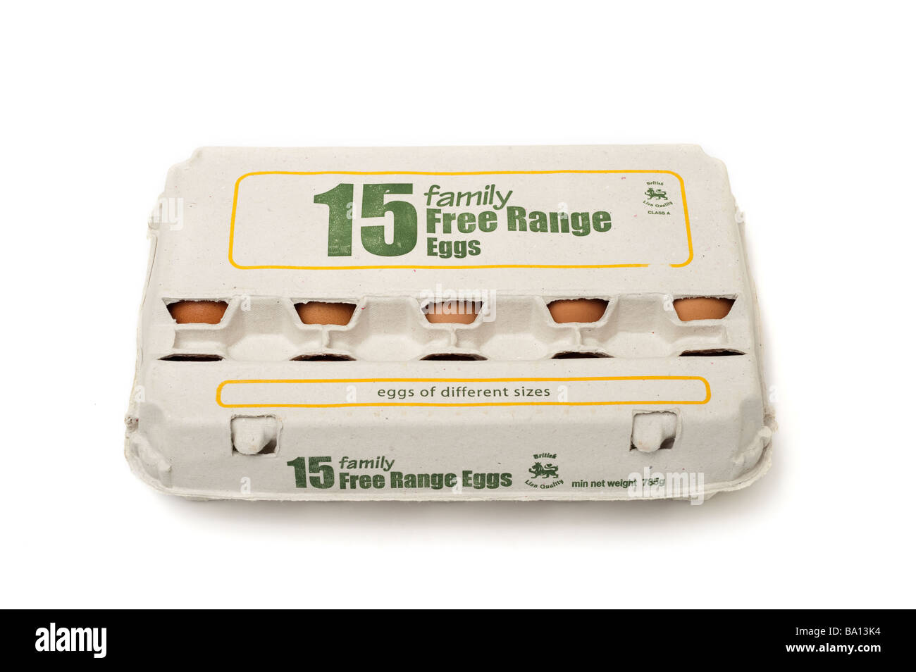 Carton of 15 free range eggs Stock Photo