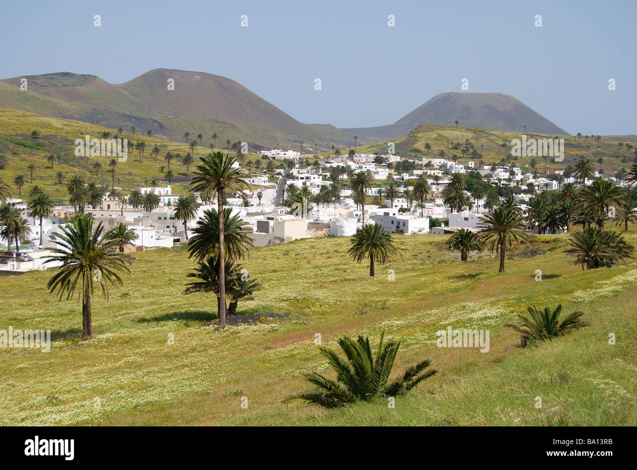 Valley of a Thousand Palms, Haria, Province of Las Palmas, Lanzarote, Canary Islands, Spain Stock Photo