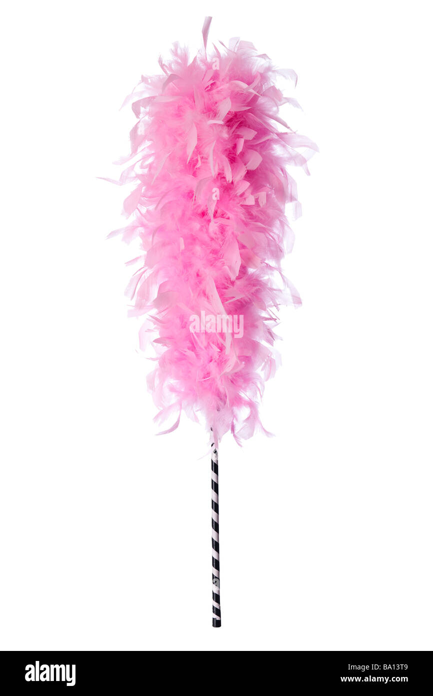 FEATHER DUSTER PINK 