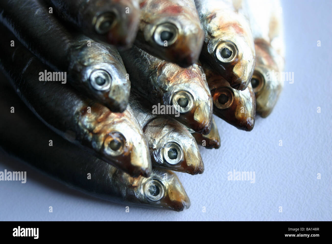 Sprats Stock Photo