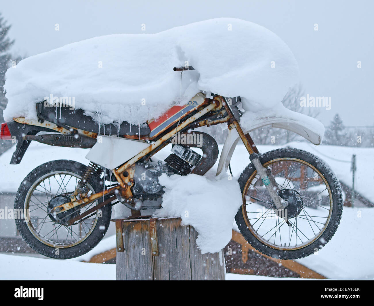 Weird old rusty motorcycle covered with snow parked on the tree trunk over winter Stock Photo