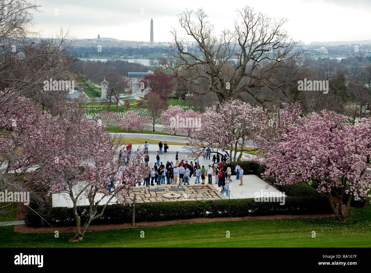 Grave of President John F.Kennedy with Cherry Blossom Trees in full