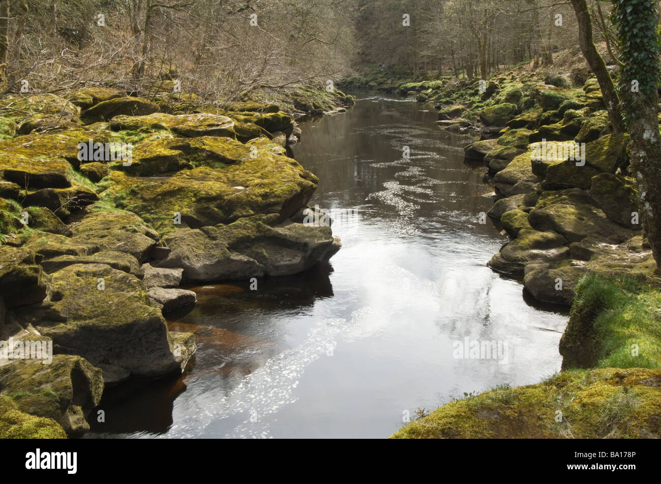 the Strid River Wharfe SkiptononSwale North Yorkshire England UK