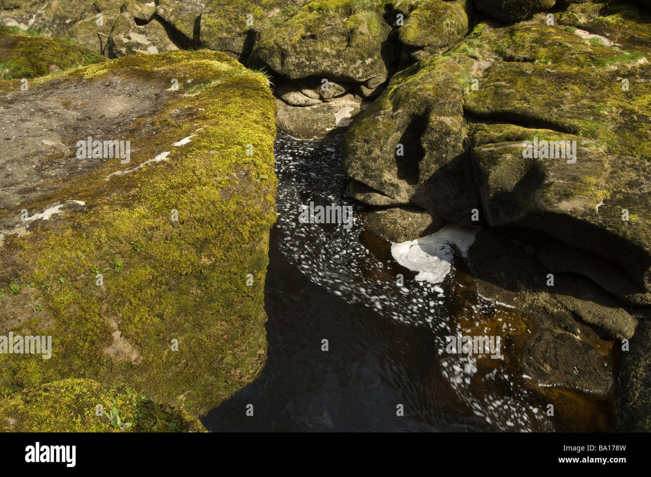 the Strid River Wharfe SkiptononSwale North Yorkshire England UK