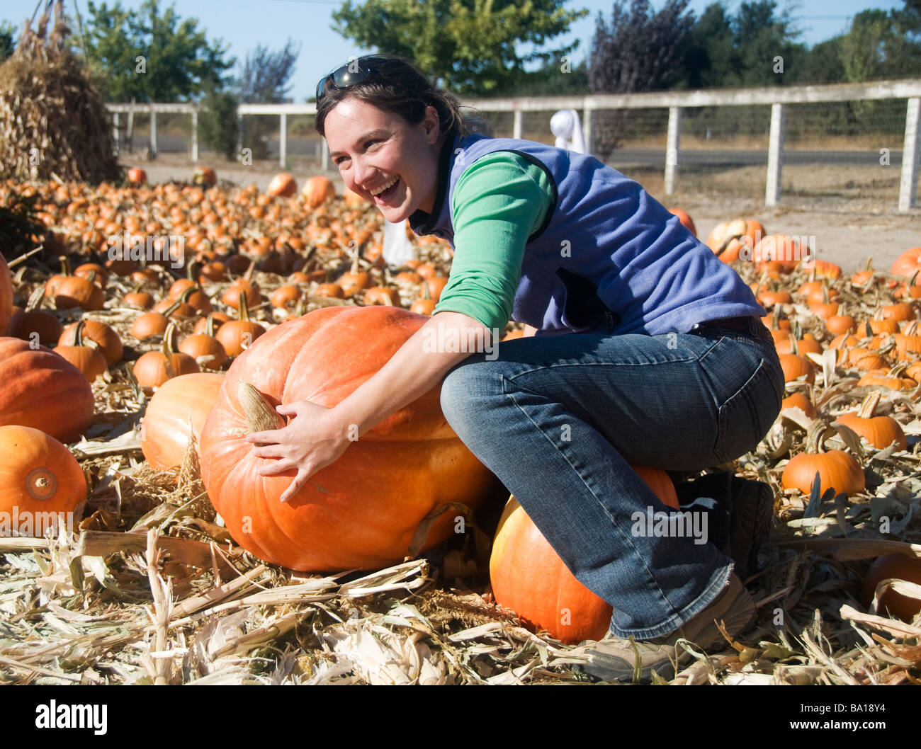 Woman picking out pumpkins at the pumpkin patch at Summerset Farm in Santa Ynez, California Stock Photo