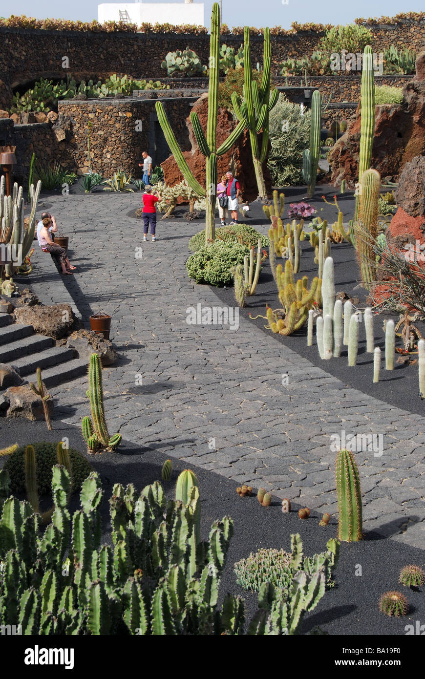 Jardin de Cactus, Guatiza, Province of Las Palmas, Lanzarote, Canary Islands, Spain Stock Photo