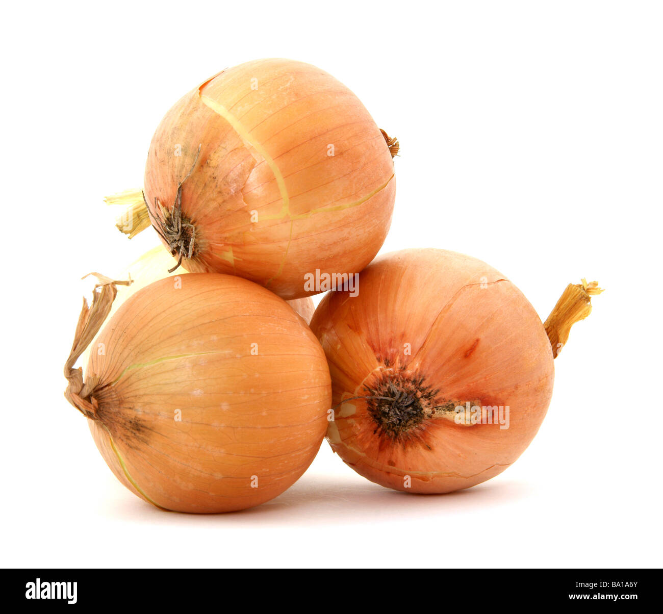 Utility onions Stock Photo