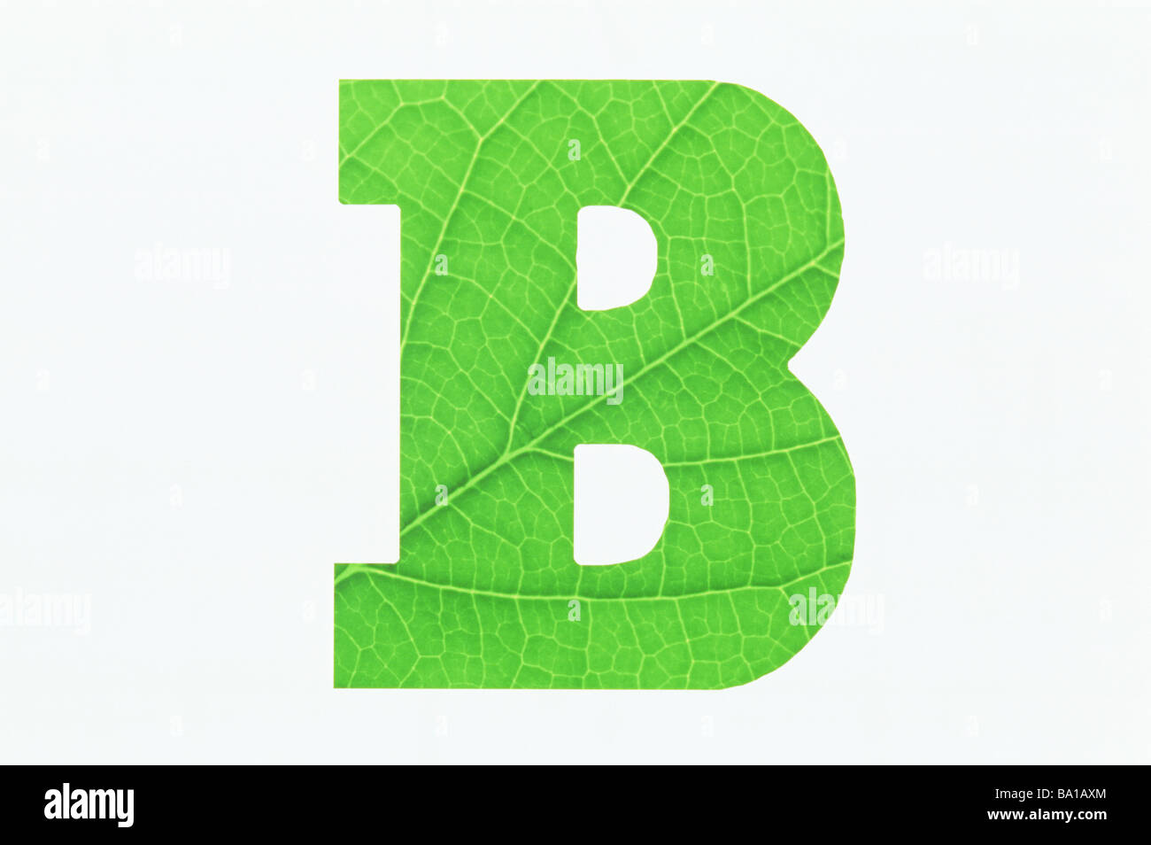 Alphabet b hires stock photography and images Alamy