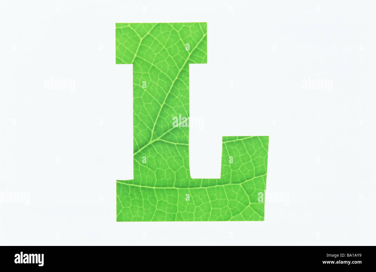 Green Alphabet L on White Background Stock Photo