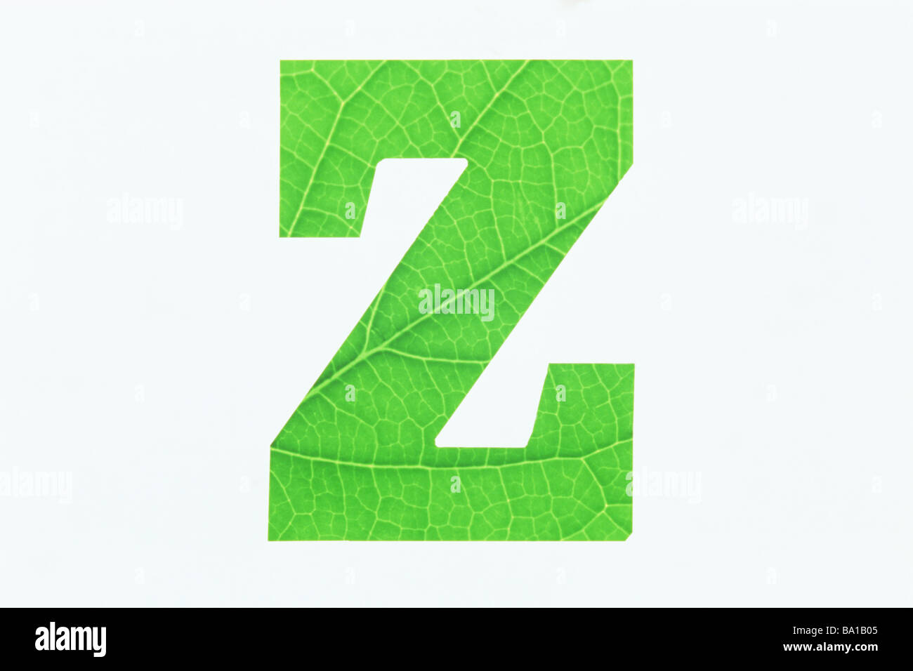 Green Alphabet Z on White Background Stock Photo