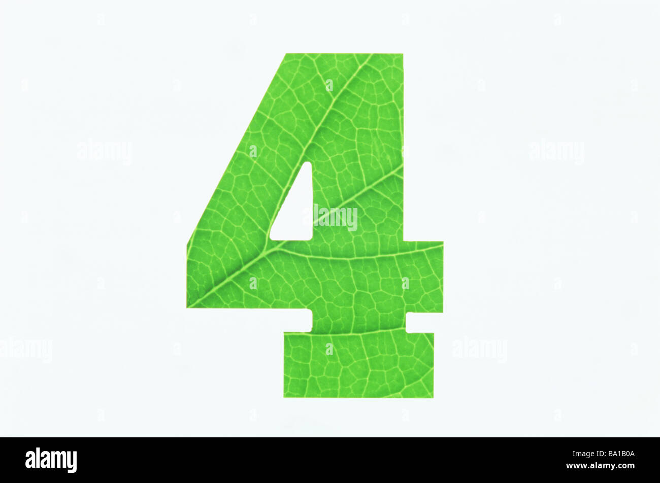 all white 4s with green