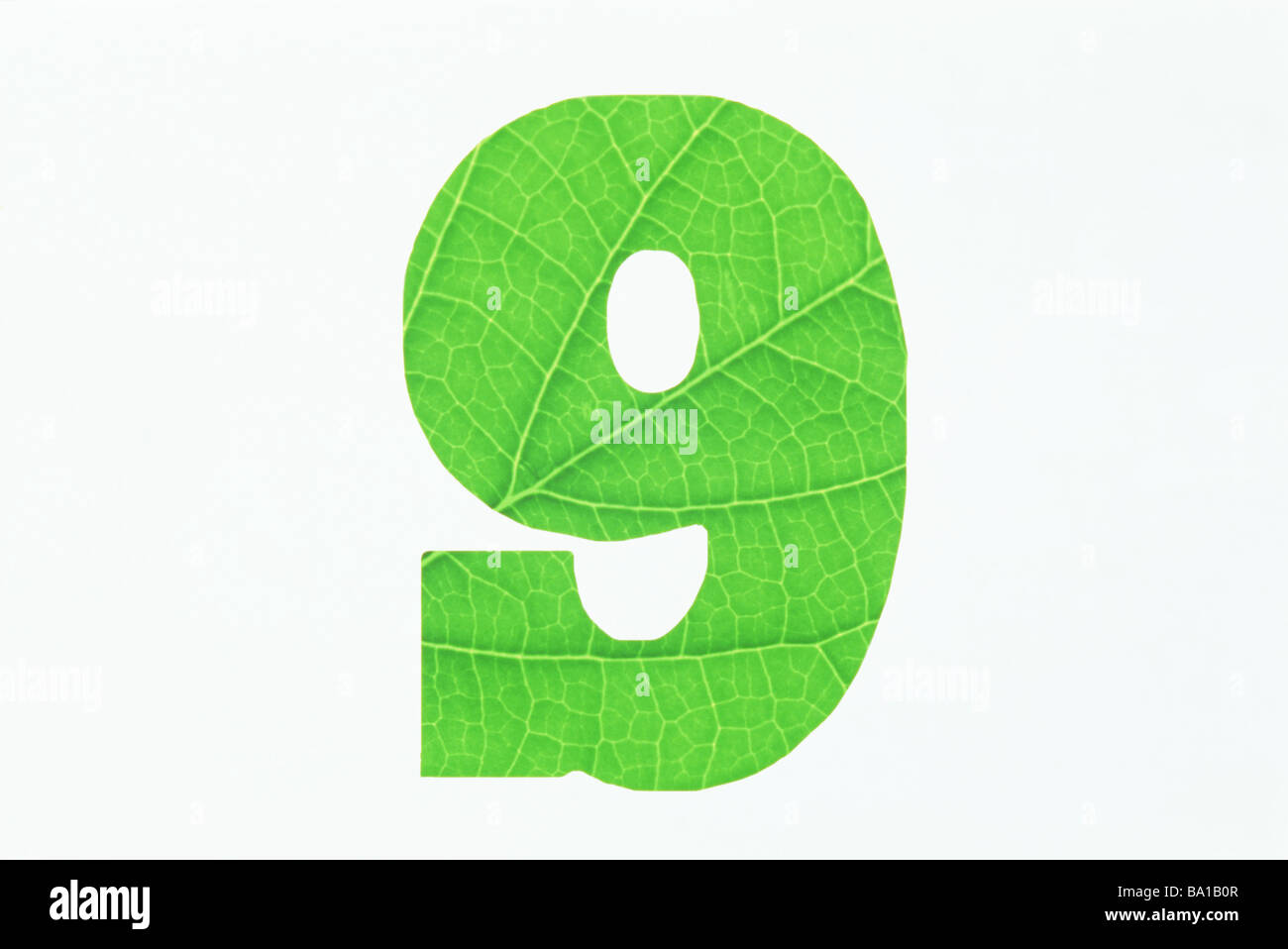 Green Number 9 on White Background Stock Photo