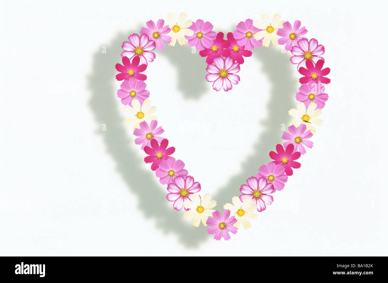 Heart Shaped Floral Frame with Pink Flowers Stock Photo - Alamy
