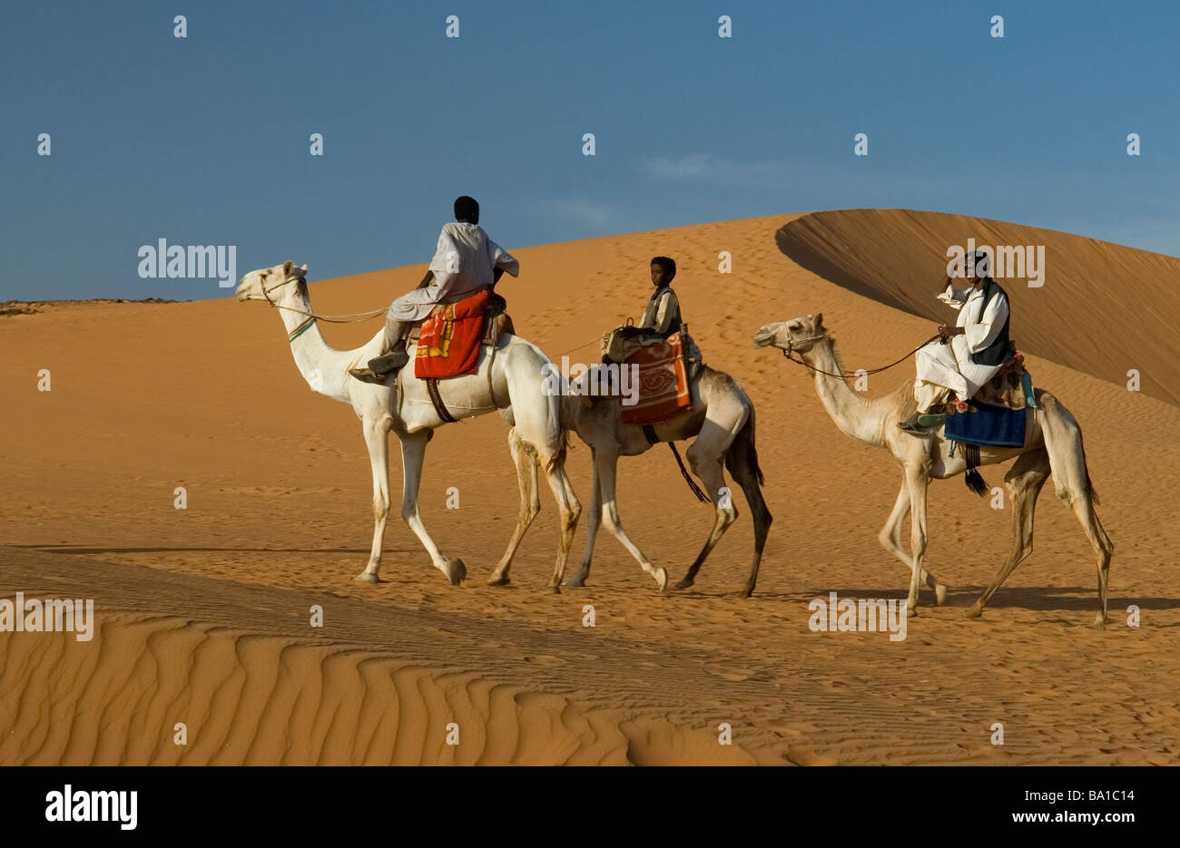 Camel riders hi-res stock photography and images - Alamy