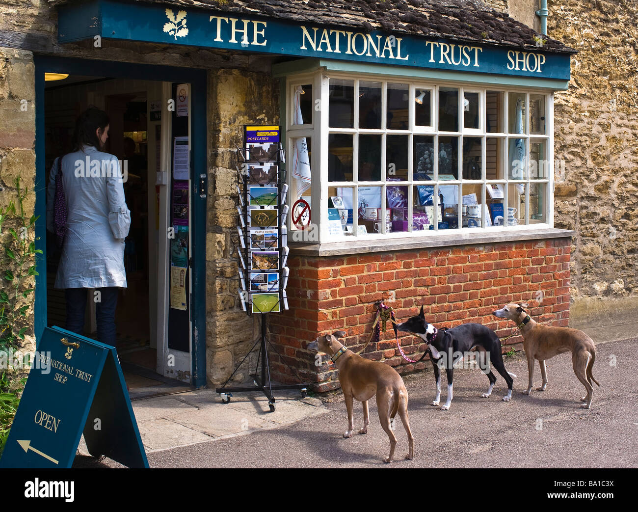 Dogs in waiting outside National Trust shop in Lacock Wiltshire England UK EU Stock Photo