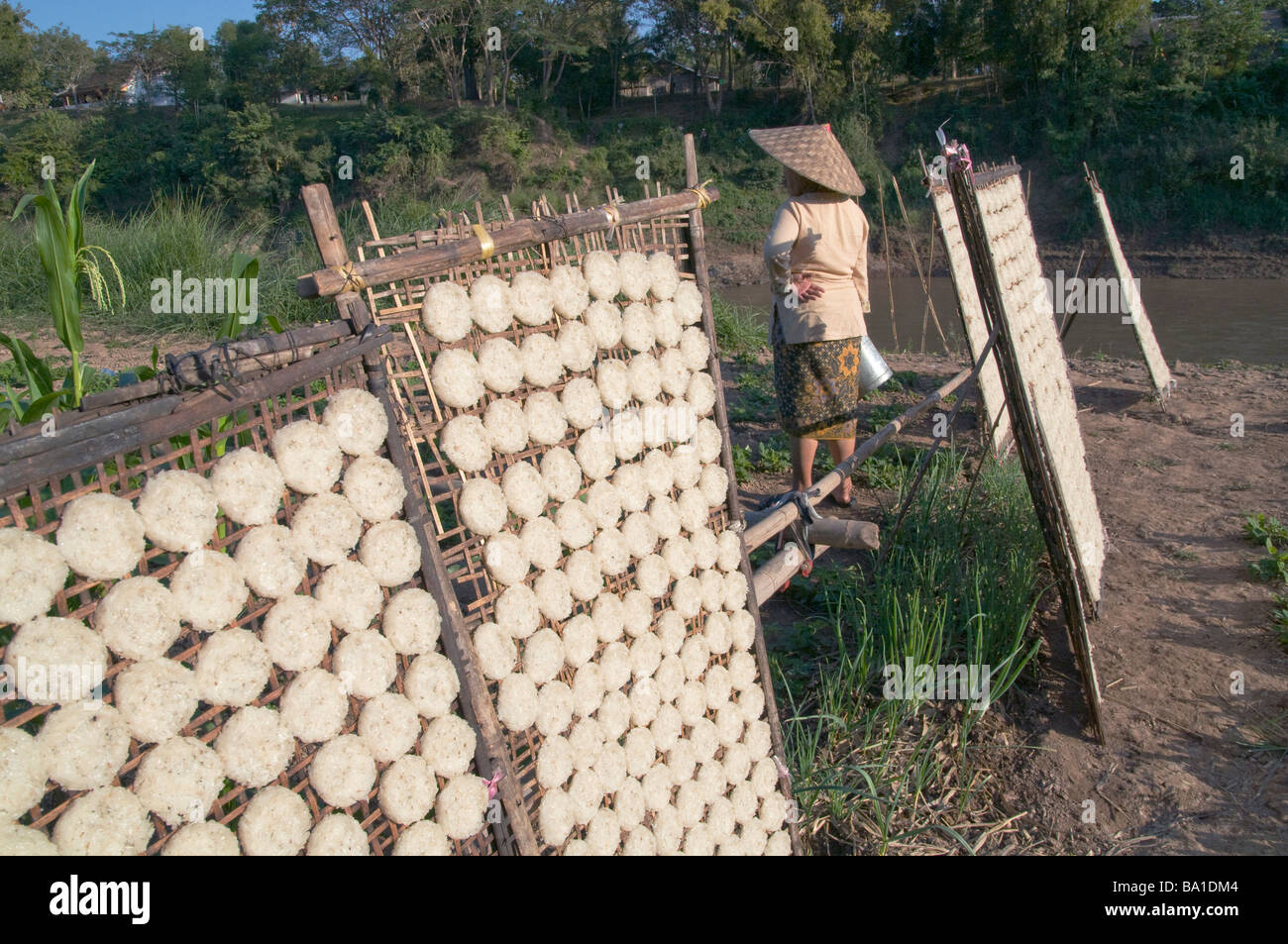 LAOS.RICE CAKES DRYING IN THE SUN IN A VILLAGE BY THE MEKONG RIVER Photo Julio Etchart Stock Photo