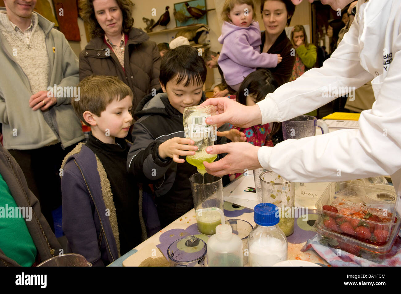 The museum at Oxford has a science day for kids here spliting DNA off in a test tube Stock Photo