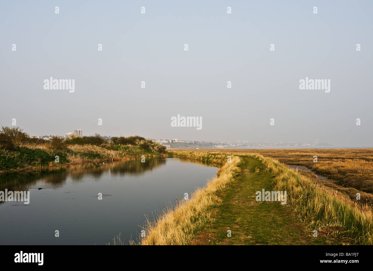 Two Tree Island in Essex. Stock Photo
