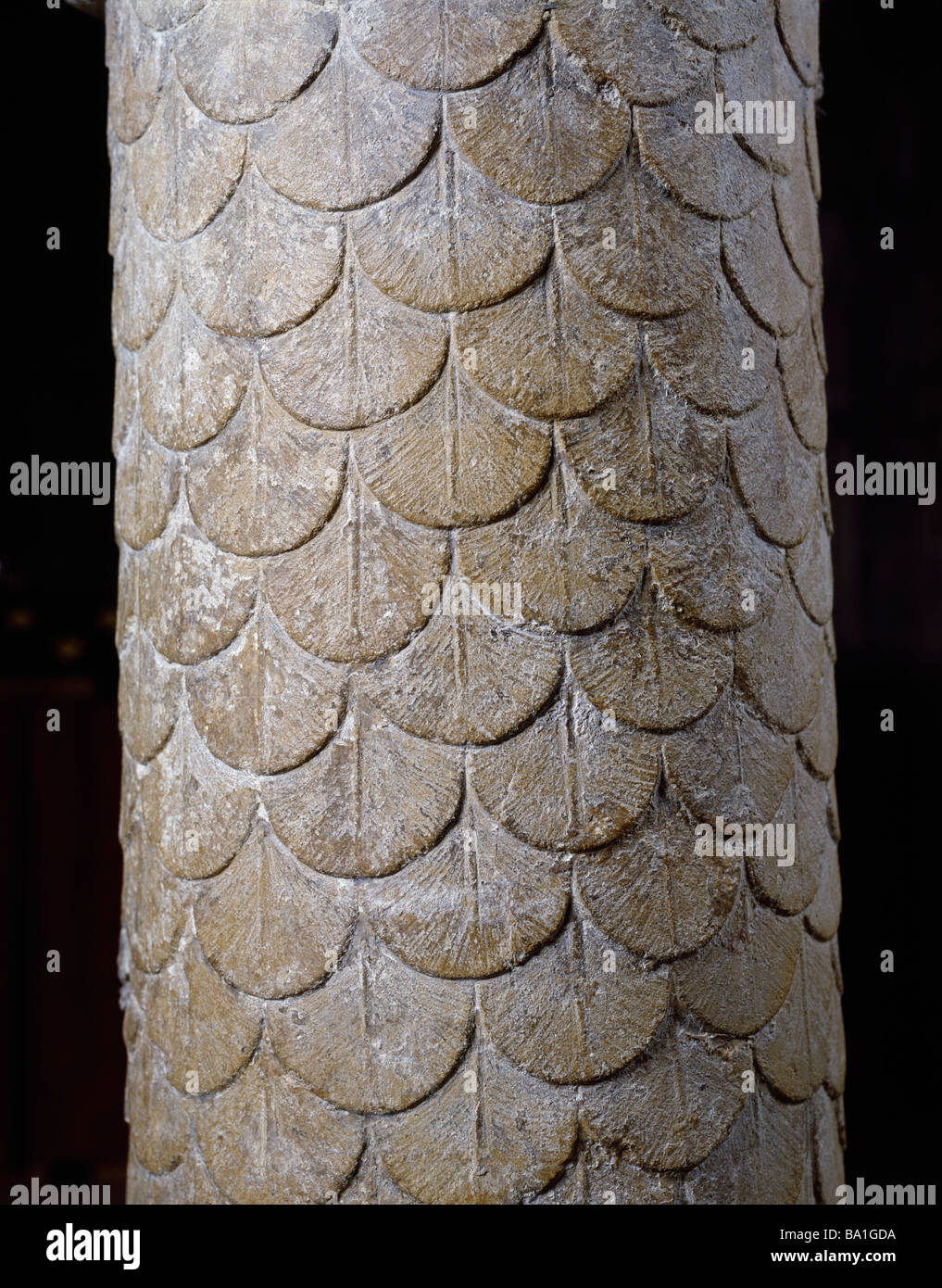 Norman column with overlapping scales, in Chapel of the Holy Innocents, the Crypt, Canterbury Cathedral Stock Photo