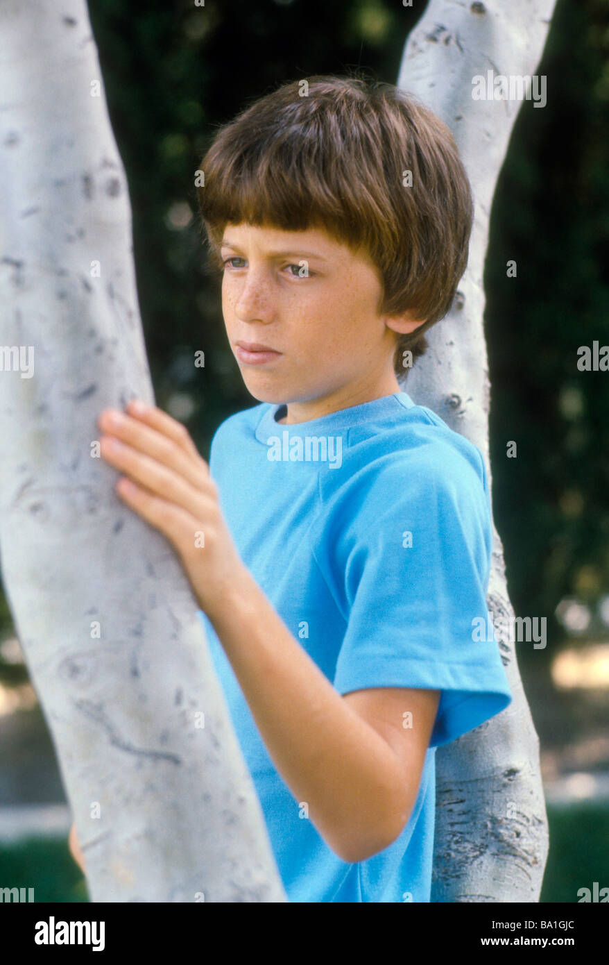 Boy serious expression face look stare direct portrait tree Stock Photo