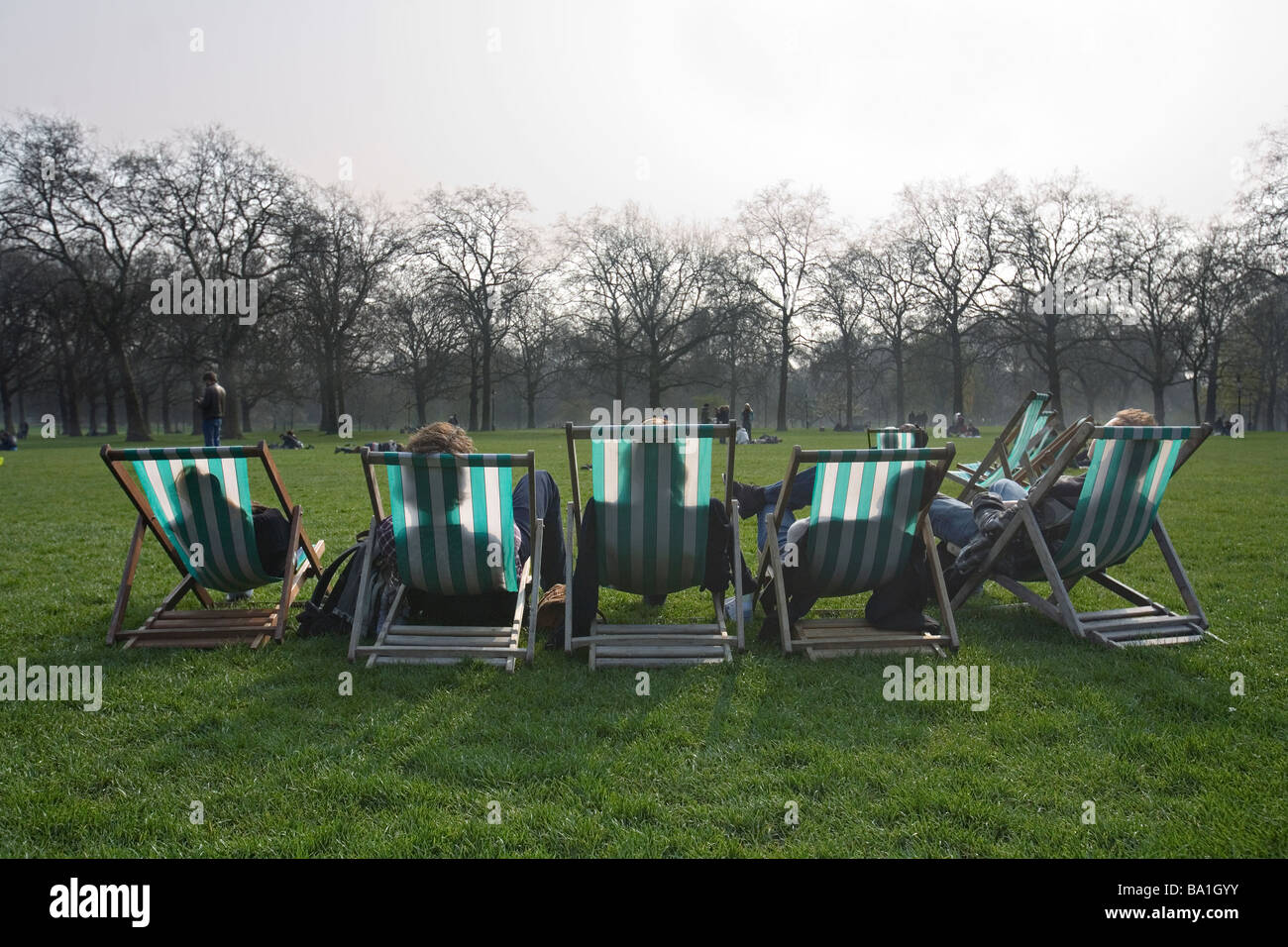 deckchairs in the Green Park London Stock Photo Alamy