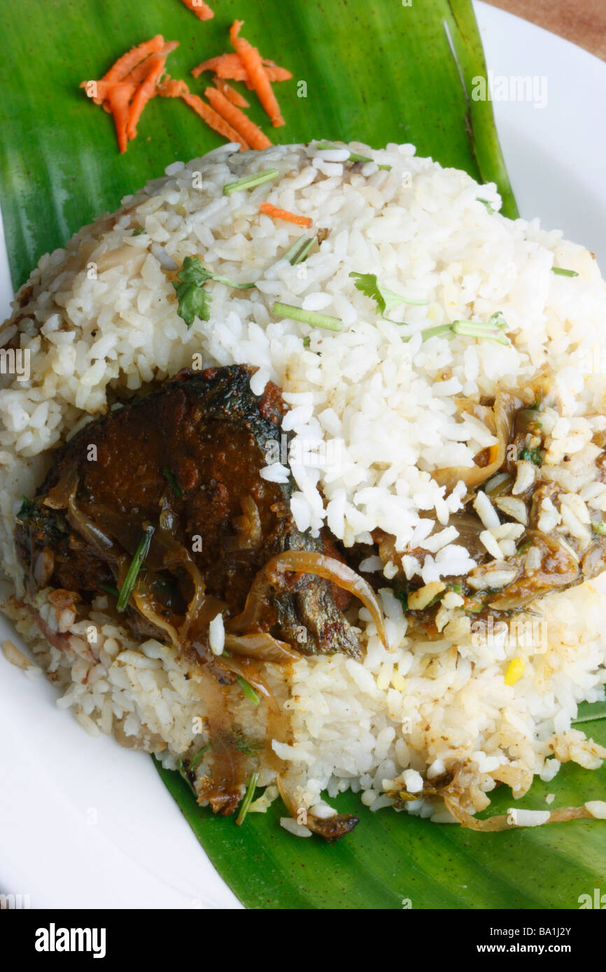 Fish Biryani is an Indian rice based fish recipe in which fish and rice ...