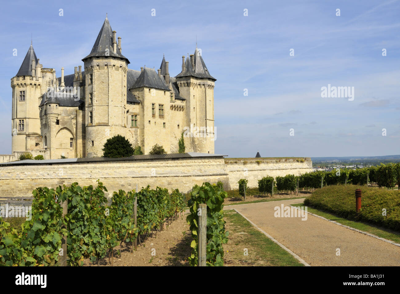Loire vineyard chateau hi-res stock photography and images - Alamy
