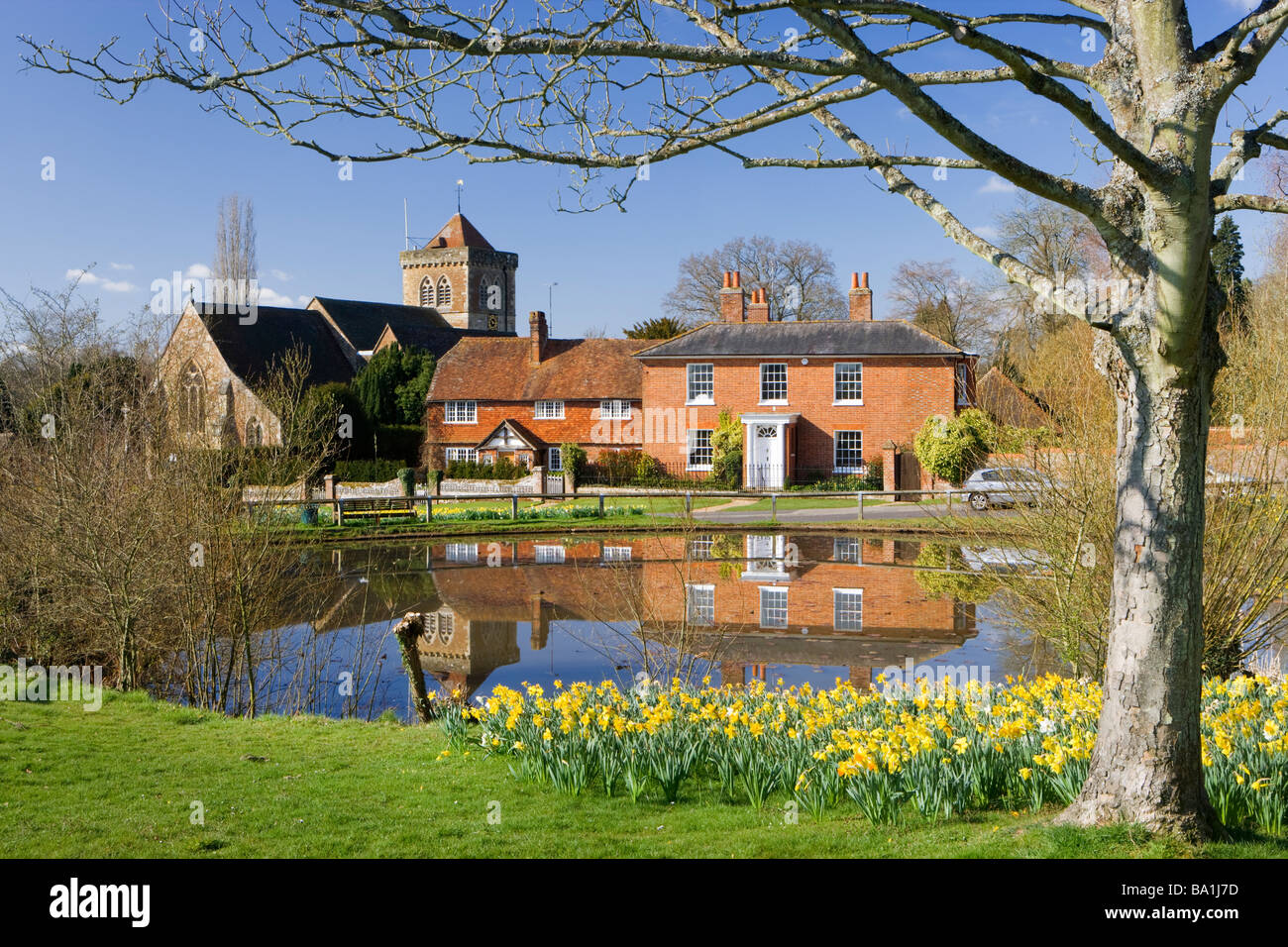 Chiddingfold, village pond and daffodils, Surrey, UK Stock Photo
