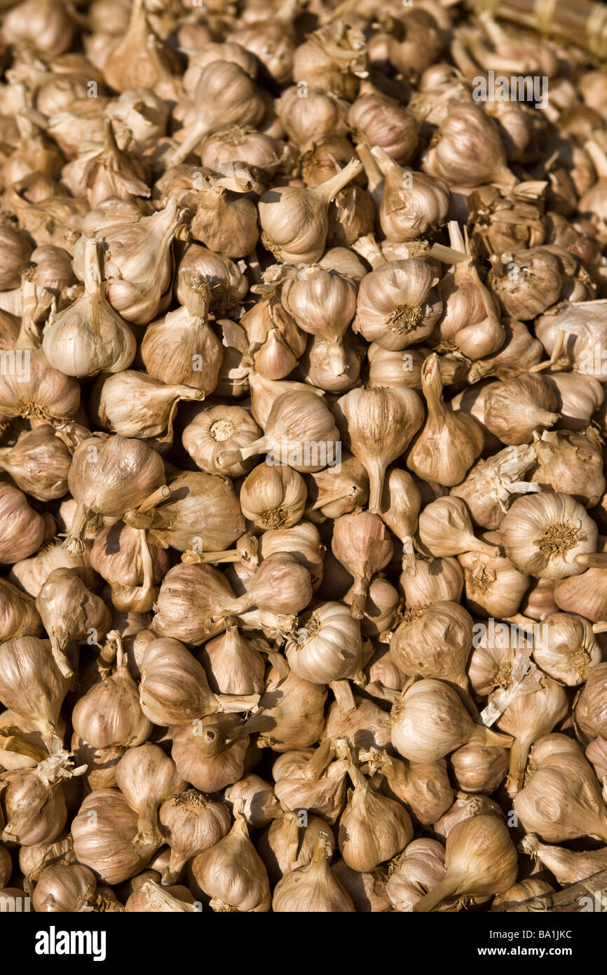 Garlic Cloves in street Stall Hanoi Vietnam Stock Photo Alamy