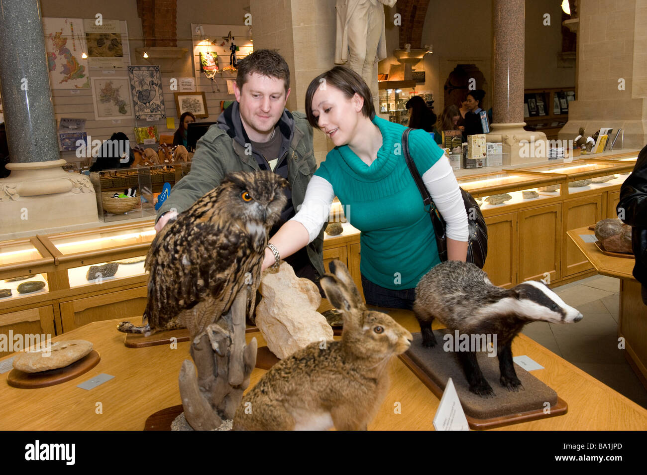 The museum at Oxford has a science day for kids,here you can touch and stroke some stuffed birds and animals Stock Photo