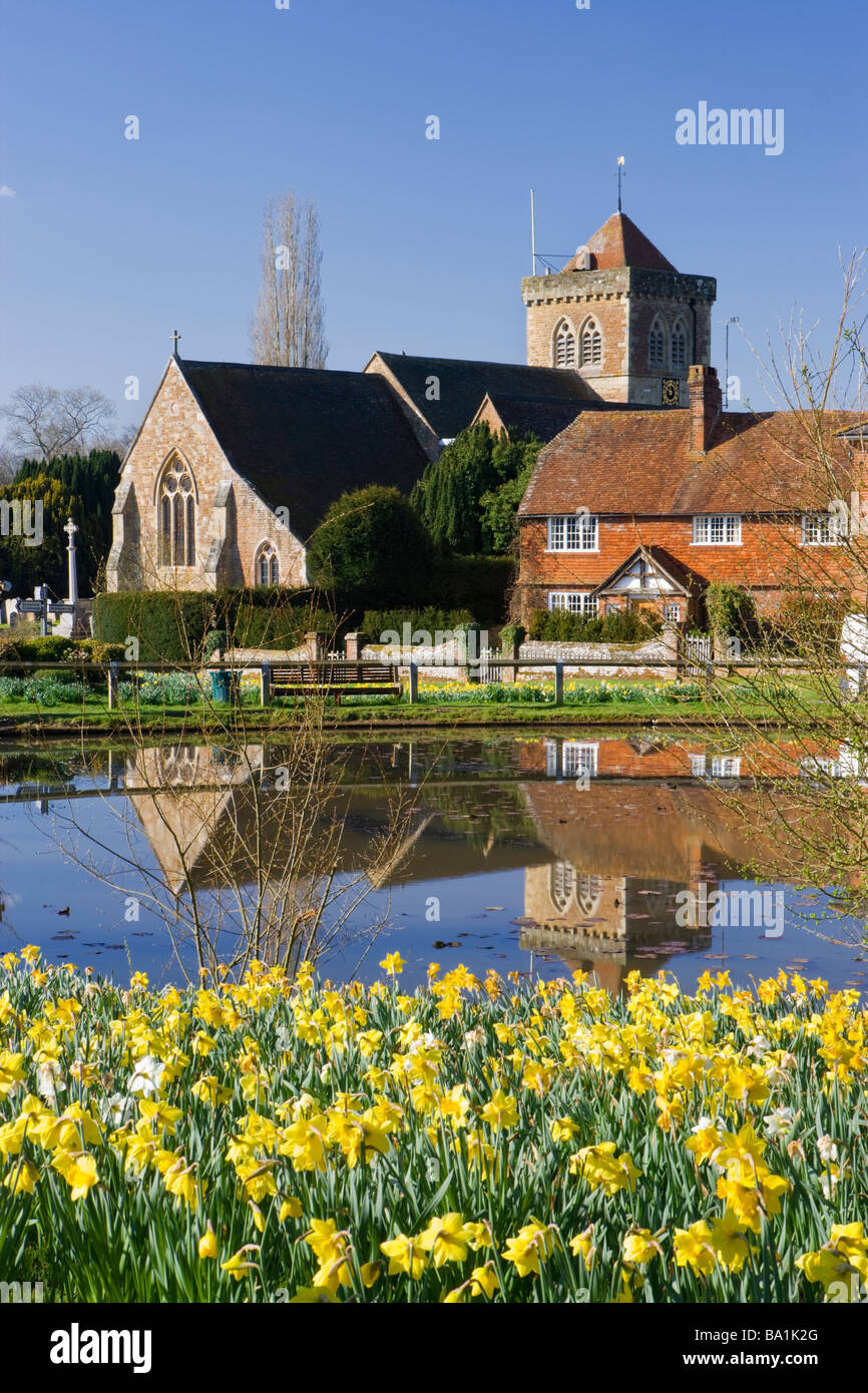 Chiddingfold, village pond and daffodils, Surrey, UK Stock Photo