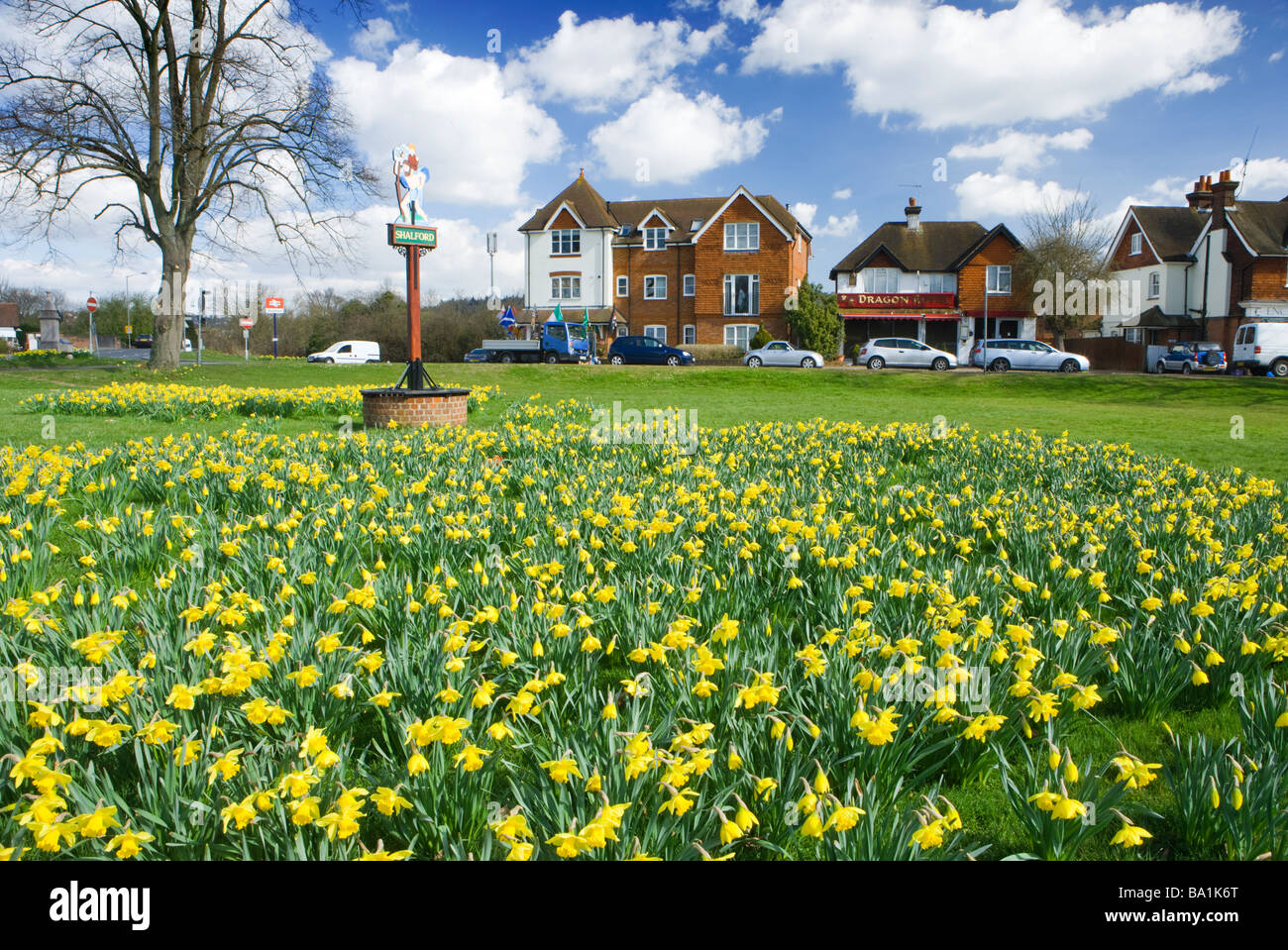 Shalford with daffodils, Surrey, UK Stock Photo