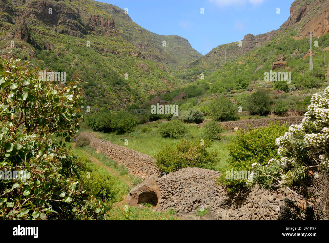 A fine view to the Barranco de Guayadeque, Guayadeque Ravine, Gran Canaria, Canary Islands, Spain, Europe. Stock Photo