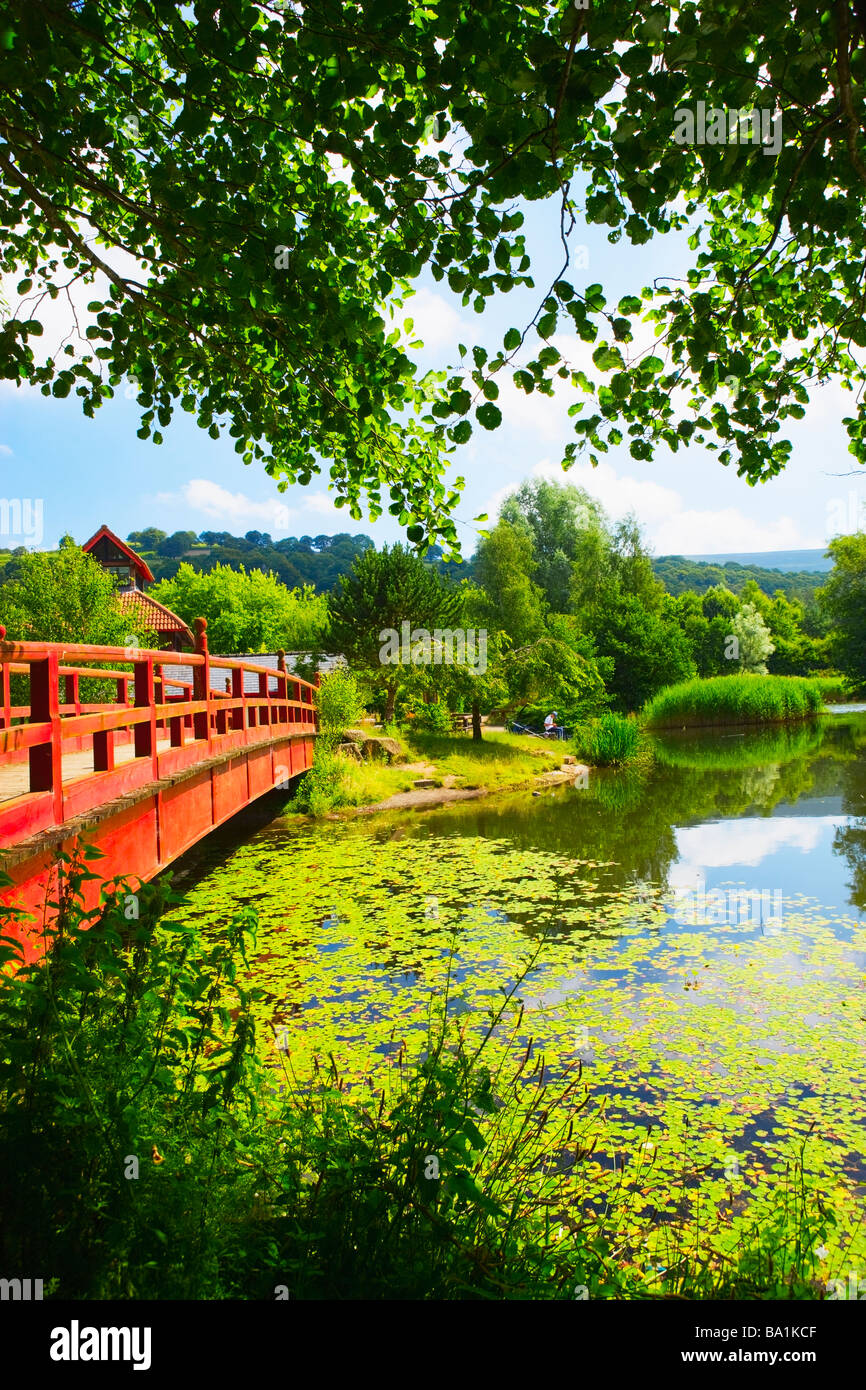 Lake at Festival Park Ebbw Vale Gwent South East Wales Stock Photo - Alamy