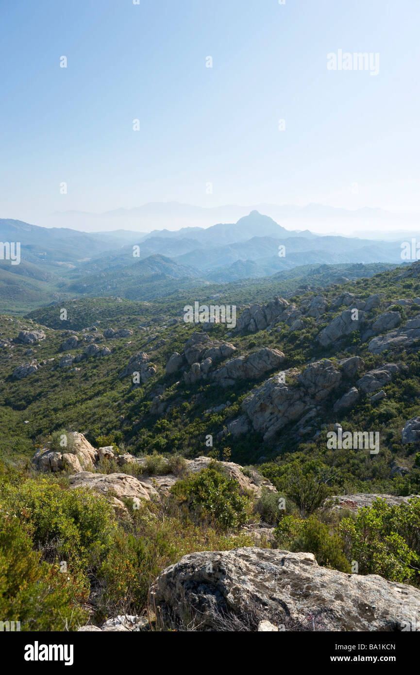Landscape in the early morning, Desert des Agriates between L'Ile Rousse and St Florent, The Nebbio, North Corsica, France Stock Photo