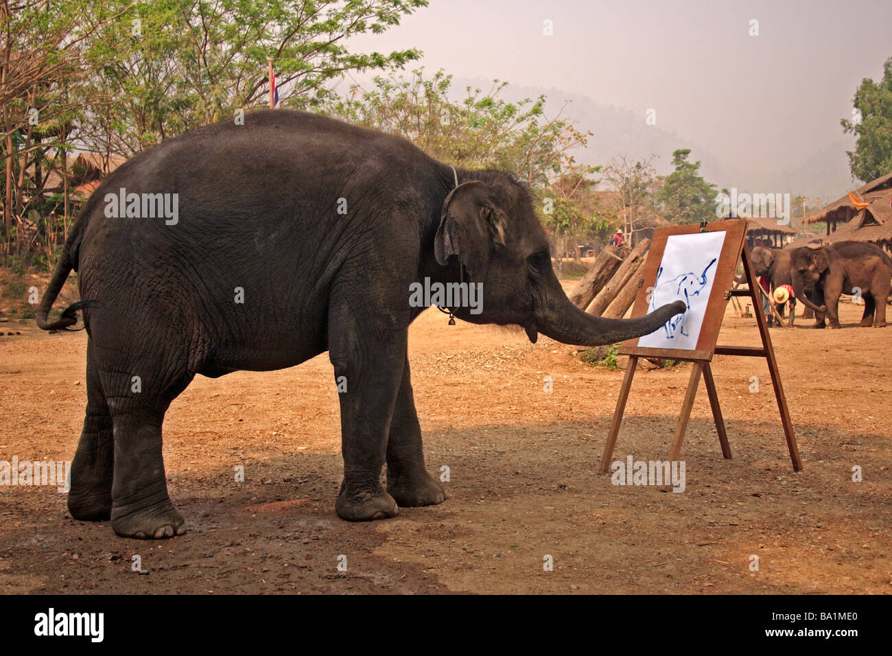 An Elephant Painting Chiang Mai Northern Thailand South East Asia Stock
