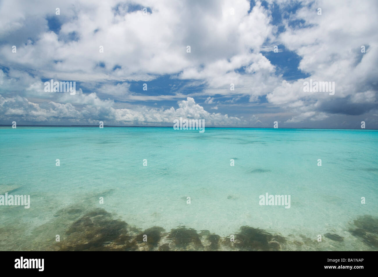 Clear warm tropical waters of the Caribbean Los Roques Venezuela South