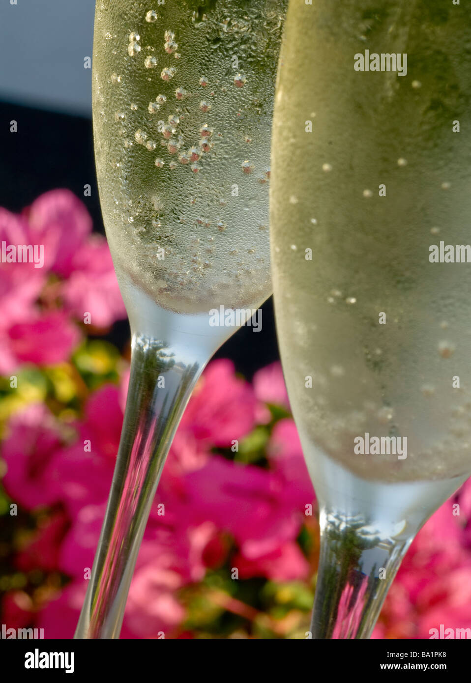 Chilled glasses hires stock photography and images Alamy
