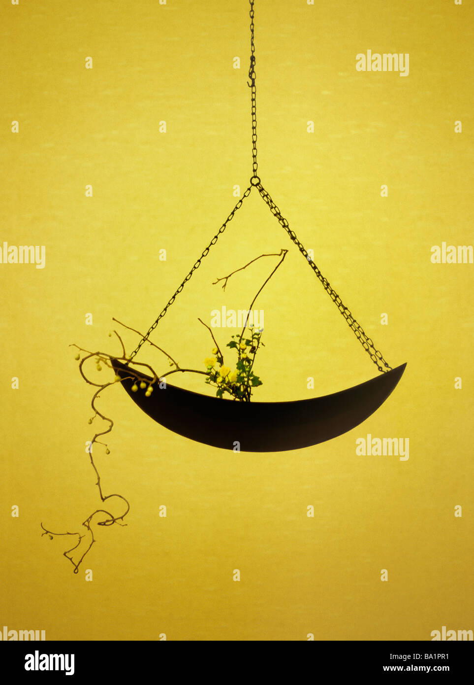 Genuine traditional Ikebana, Japanese art of floral arrangement