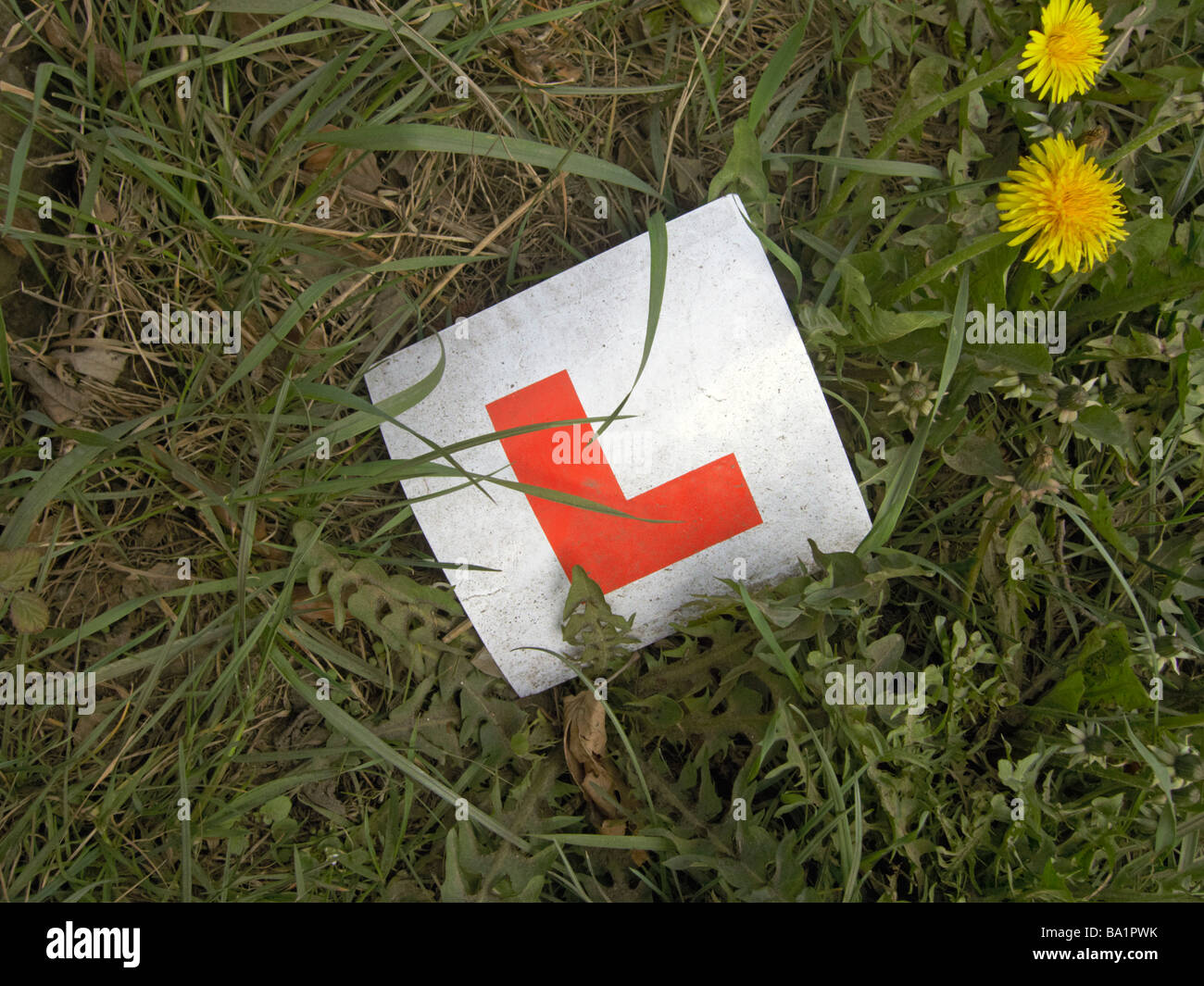 discarded l plates Stock Photo
