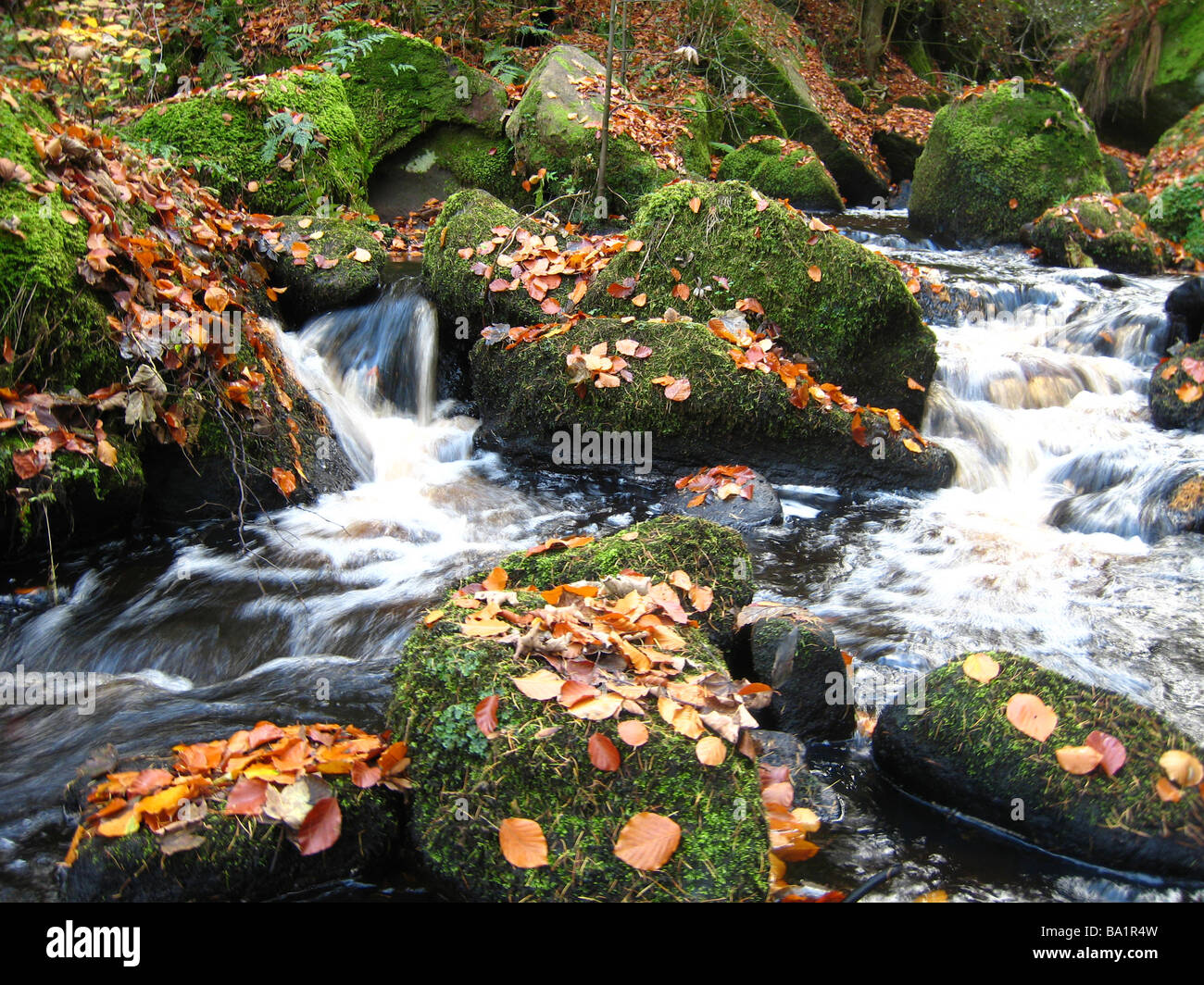 Mossy Rocks Fall Golden rocks falling water hi-res stock photography and images - Alamy