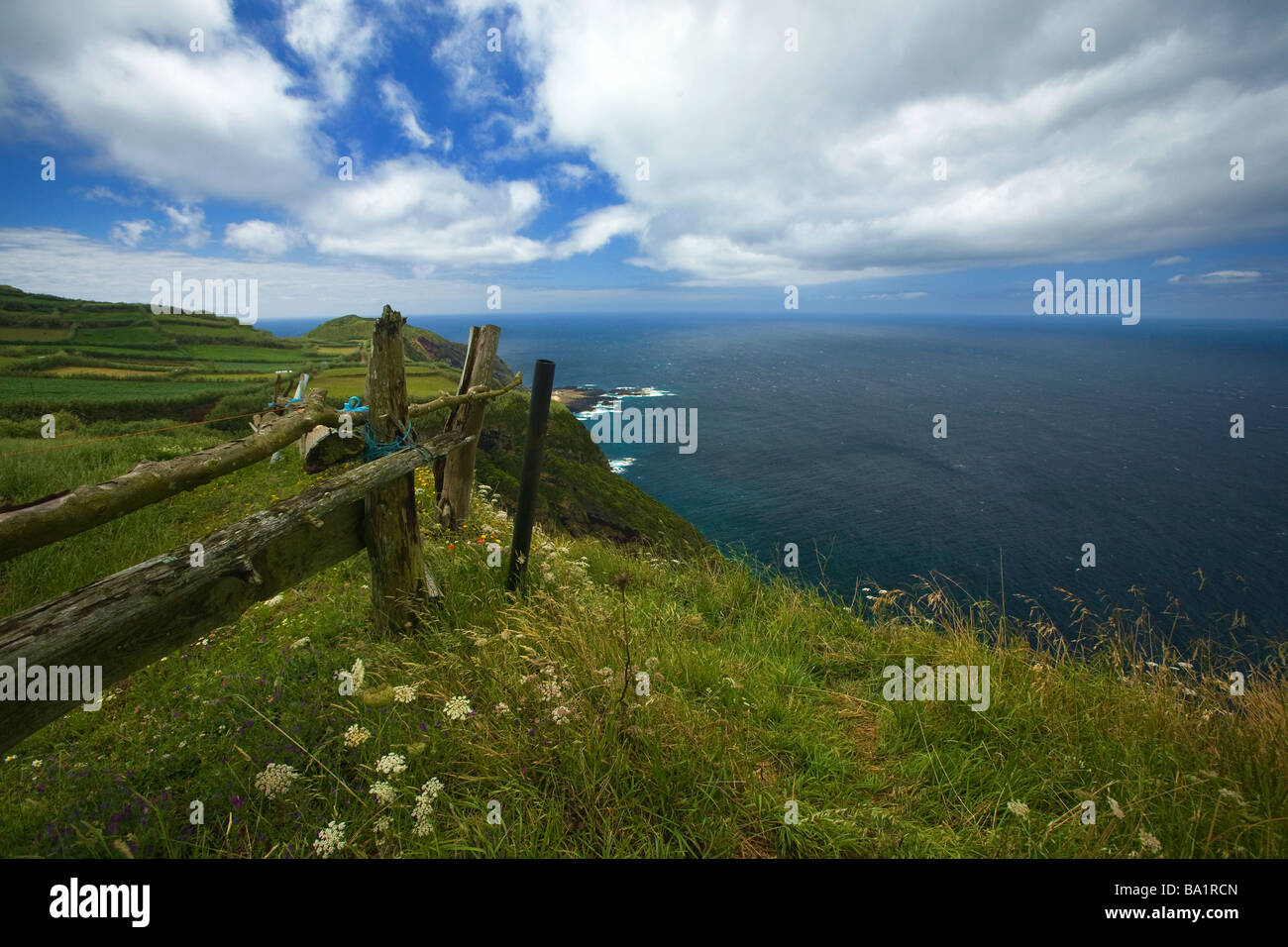 High view over the blue atlantic with green prairies and blossom flowers on the foreground,São Miguel island, Azores Stock Photo
