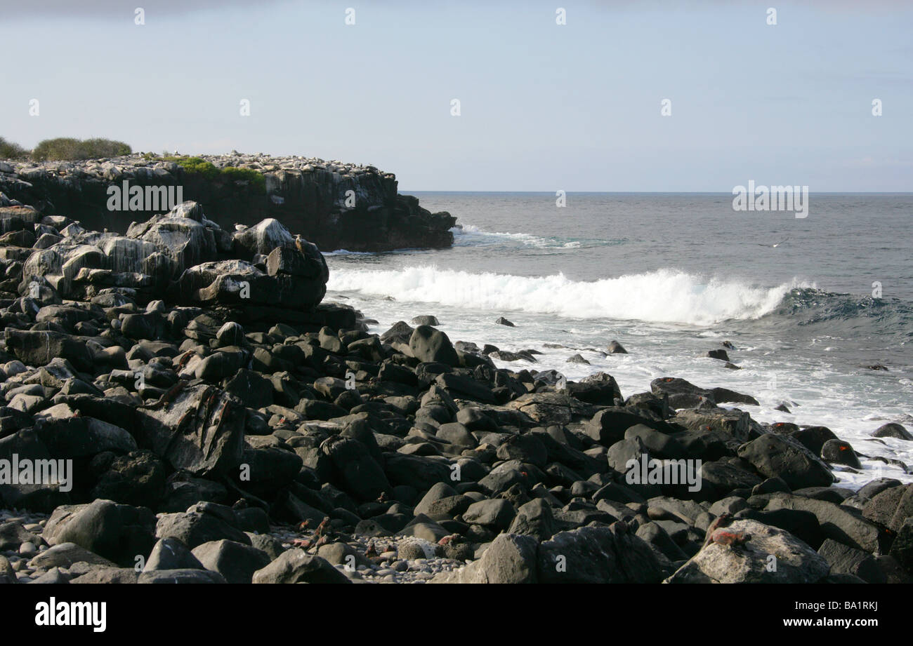 Espanola Island aka Hood Island, Galapagos Archipelago, Ecuador, South